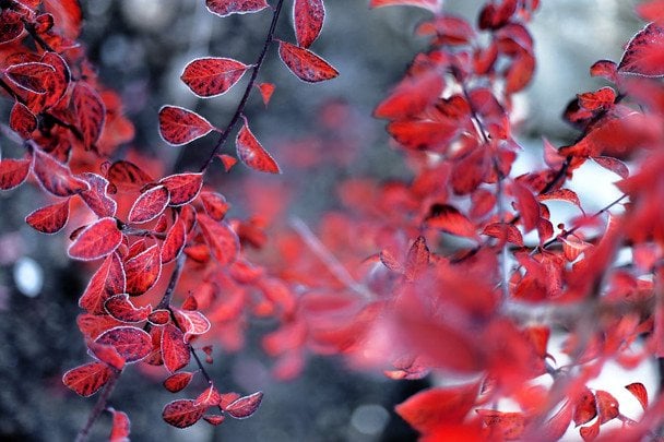 Народні прикмети 24 грудня / © pexels.com