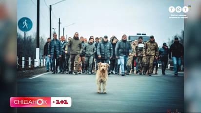 Як світлини Сєвєродонецьку облетіли світ завдяки фотографу Олексію Ковальову – щоденник війни