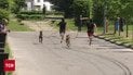 Рекордный военный забег псов в Киеве