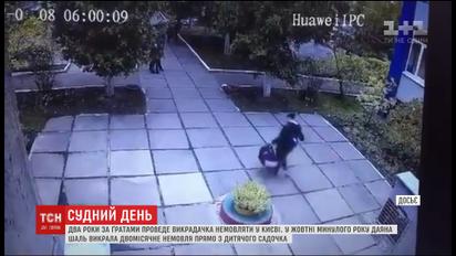 Оболонский суд столицы объявил приговор женщине, которая в прошлом году похитила малыша