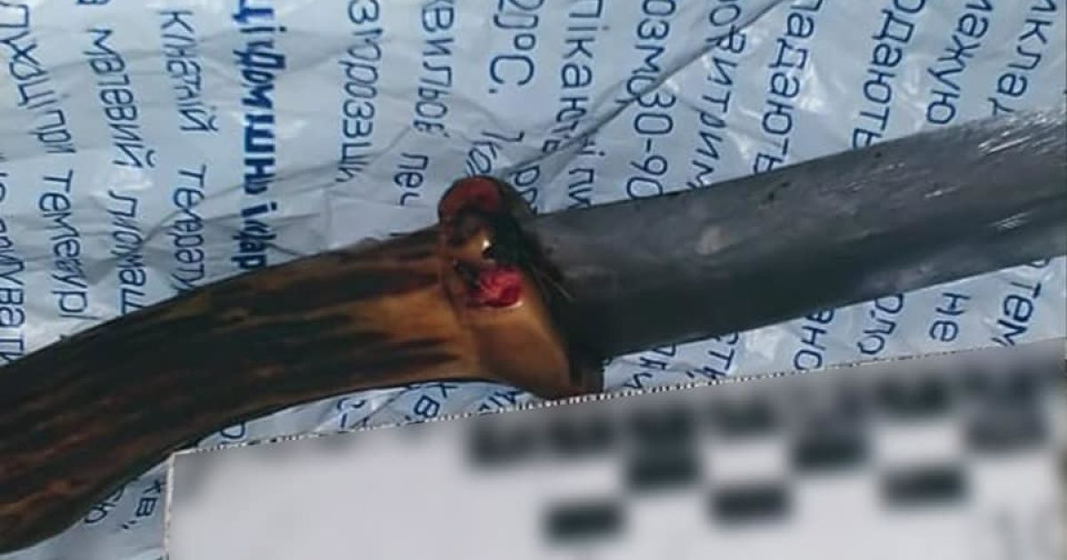 Голова оленя і скривавлені мішки із м’ясом: під Чорнобилем затримали браконьєра з моторошною знахідкою