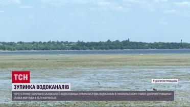 Массовый мор рыбы: обмеление Каховского водохранилища провоцирует экологическую катастрофу