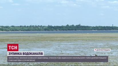 Массовый мор рыбы: обмеление Каховского водохранилища провоцирует экологическую катастрофу