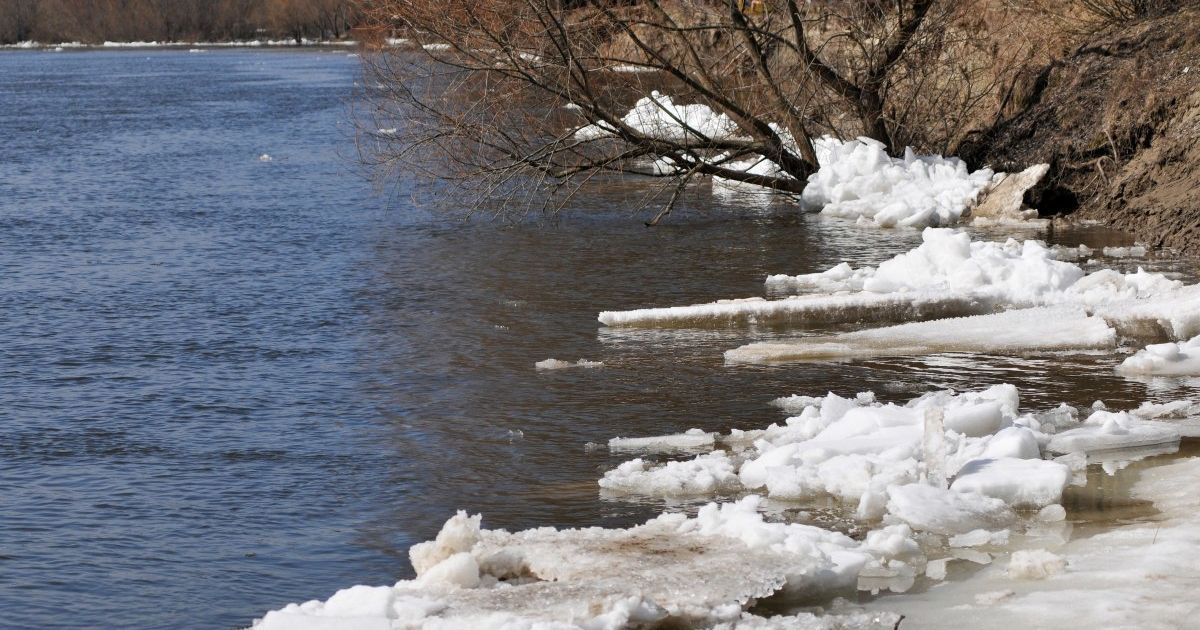 Січень у Києві завершується температурними рекордами
