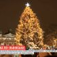У Львові лише з третьої спроби засяяла головна ялинка міста