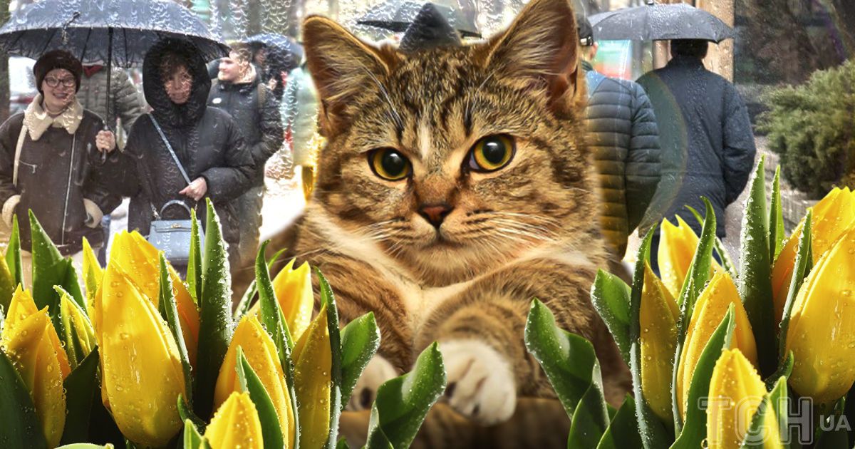 Погода в Україні