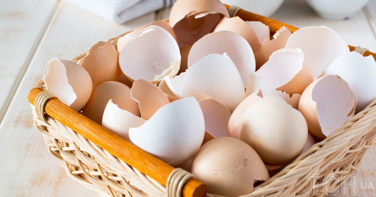 Яєчна шкаралупа