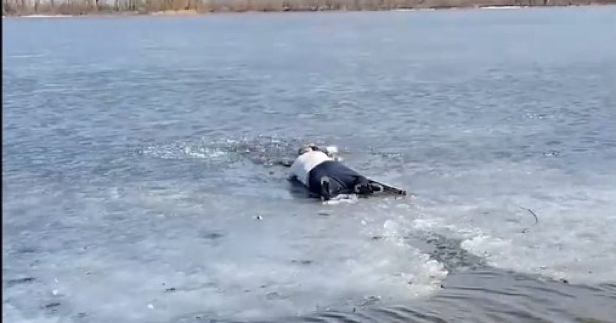 В Киеве мужчина спас девушку, которая провалилась под лед