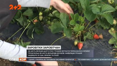 Чи справді повернення трудових мігрантів в Україну призведе до зростання економіки країни