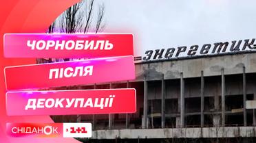 Спецгруппа "Сниданка" в лице трио Грубичев побывали в зоне отчуждения после деоккупации