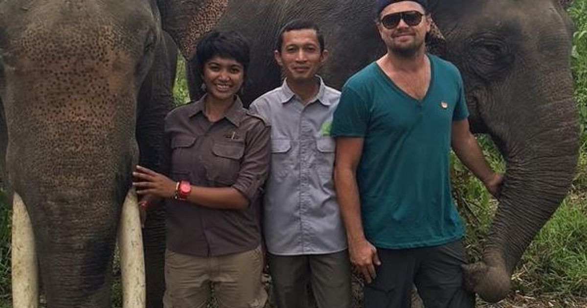 Леонардо Ди Каприо/Инстаграм