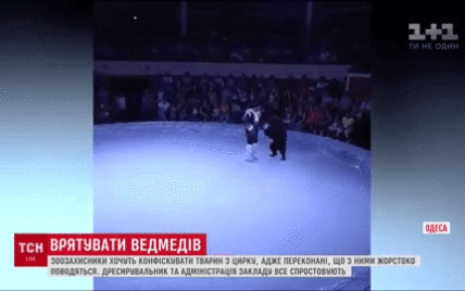 Ведмедиця вийшла з-під контролю: скандальний інцидент в Одеському цирку збурив зоозахисників