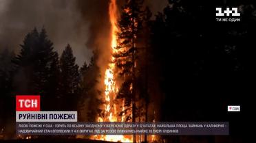 Новости мира: в США пылают леса сразу в 12 штатах
