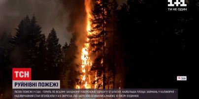 Новости мира: в США пылают леса сразу в 12 штатах