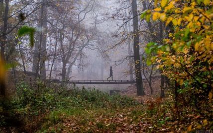Прогноз погоди на 19 листопада: в Україні буде без опадів, але з місцями з туманом і морозом