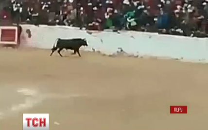 Разъяренный бык устроил кровавую охоту на зрителей корриды