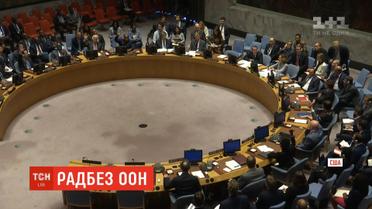 У залі Радбезу ООН палко подискутували щодо закону про українську мову