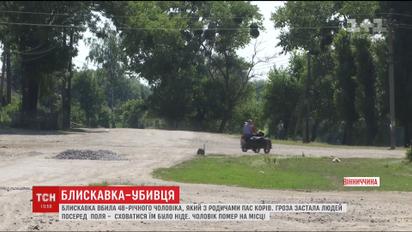 В Винницкой области молния убила мужчину
