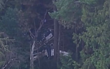 У Канаді літак впав у лісі: загинули троє осіб