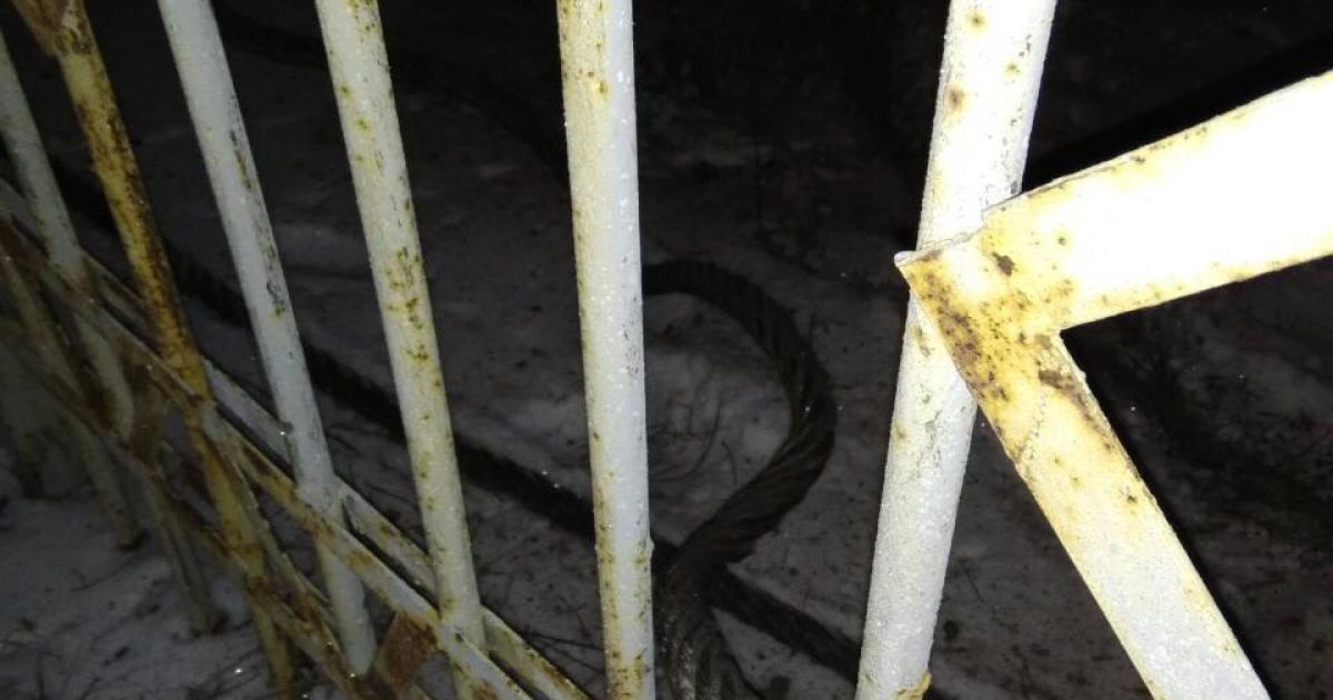 вертоліт упав у Кременчуці_1 / © Кременчугская газета