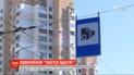 "Письма счастья": в Киеве и области заработали камеры автоматической фиксации нарушений