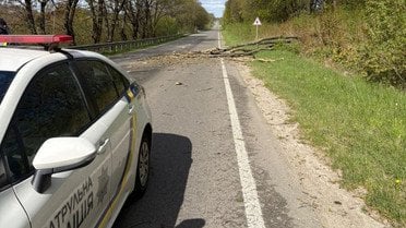 Поліція і наслідки негоди_5