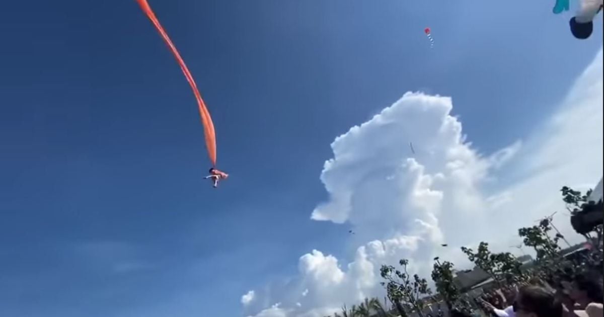 На Тайвані повітряний змій підняв трирічну дівчинку на 10-метрову висоту: моторошне відео