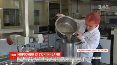 У Кейптауні популярності набуває морозиво із личинок комах