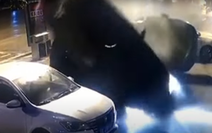 Сеть всколыхнуло видео, как в Китае автомобиль после аварии упал на парковку и приземлился точно на свободное место
