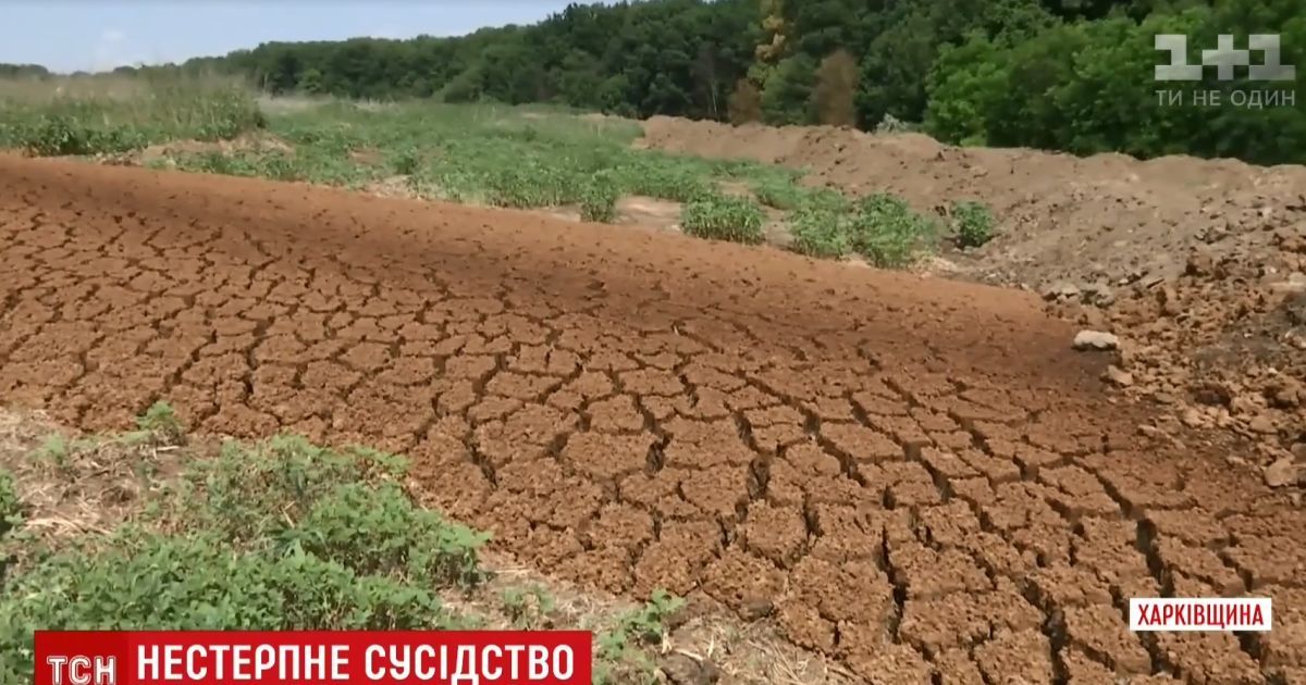 На Харківщині відходи спиртзаводу засмерділи околицю на багато кілометрів