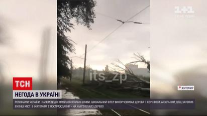 Погода України: у Черкасах дощовою водою затопило багатоповерхівку, а Житомирі на чоловіка впало дерево