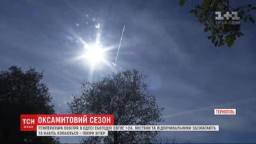 В Украине пригрело: теплая погода будет царить до 3 октября
