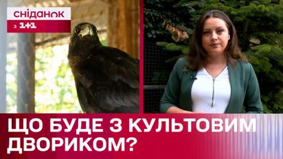 В Киеве хотят убрать легендарный дворик с воронами! Какие причины и кто инициатор?