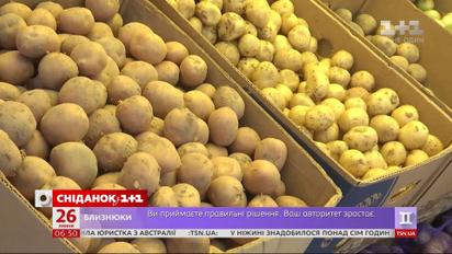 Цьогоріч картопля подорожчала майже вдвічі порівняно з минулим роком