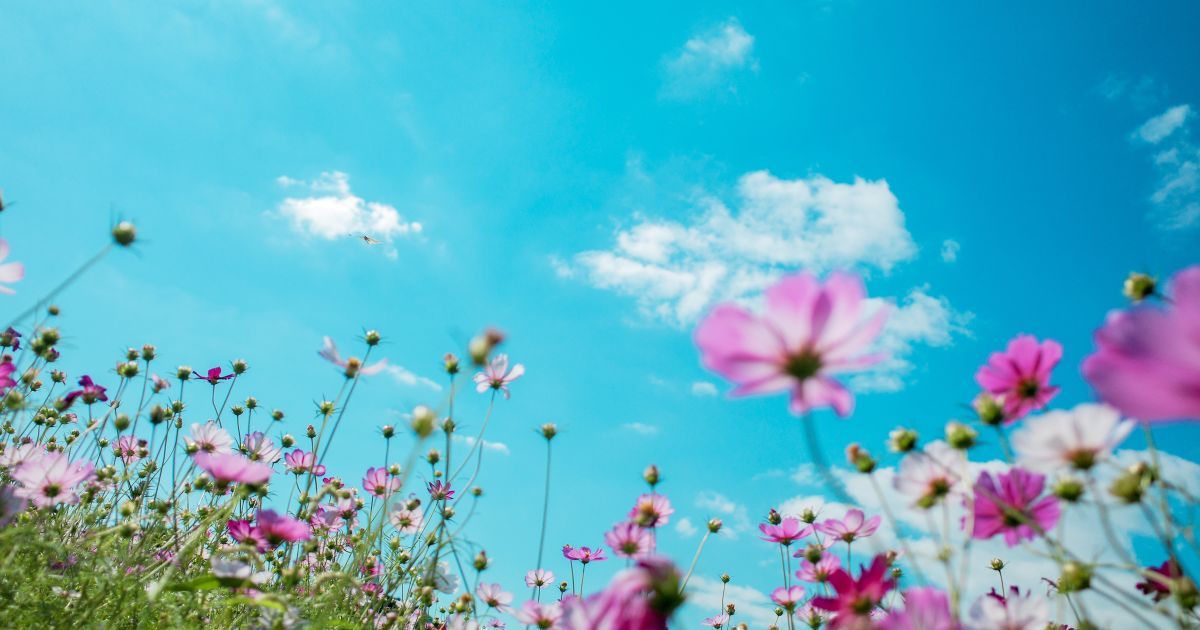 26 мая 2020 года: какой сегодня праздник, приметы и День ангела