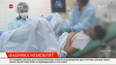 Суррогатное материнство: почему в Украине до сих пор нет закона, регулирующего права и ответственность всех сторон