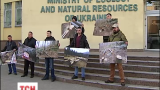Мешканці Прикарпаття протестують проти незаконної вирубки заповідних лісів