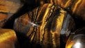 Астрологічний прогноз на 5 липня