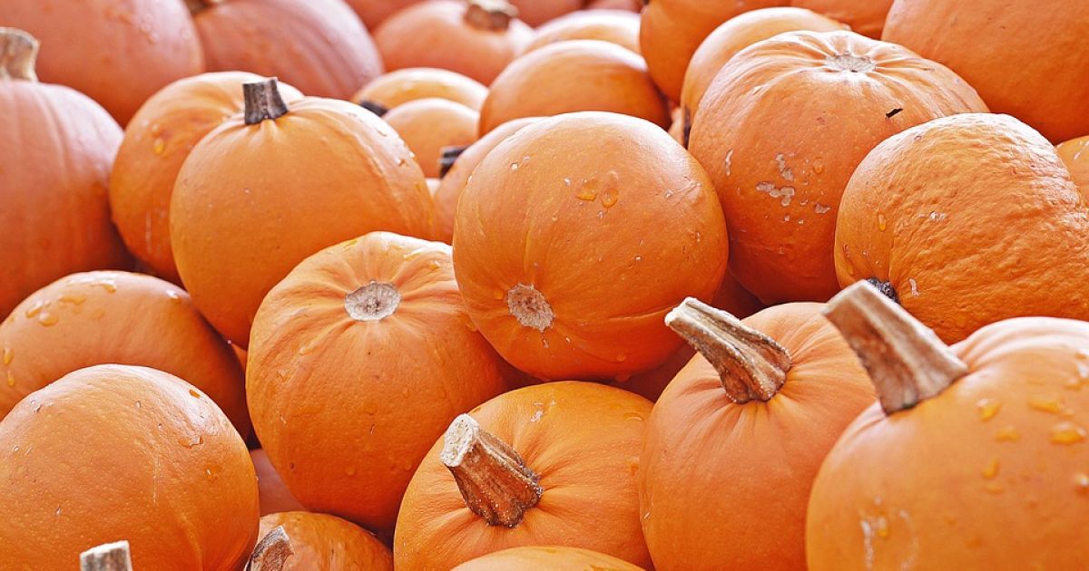 В Україні через неврожай значно подорожчали гарбузи