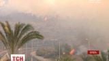Украина поможет Израилю в борьбе с масштабными пожарами, которые приравняют к терактам