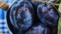 Какая польза слив для здоровья и молодости