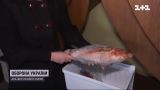 Десятки загинули, сотні під загрозою: державний акваріум у Дніпрі страждає через блекаут