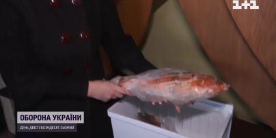 Десятки загинули, сотні під загрозою: державний акваріум у Дніпрі страждає через блекаут