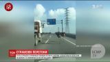 В Китае пятеро страусов устроили гонки между машин на трассе