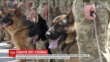 Особисті охоронці: на базі президентської охорони виховують нове покоління вівчарок