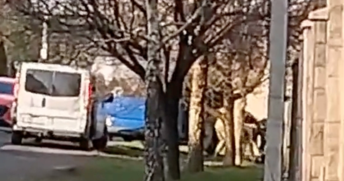 В Мукачево люди в камуфляже пытались насильно запихнуть мужчину к бусу/Скриншот с видео