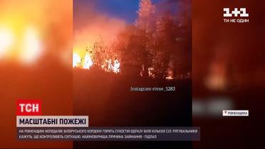 Новости Украины: спасателям не удалось выяснить причины масштабных пожаров в Ровенской области