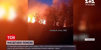 Новости Украины: спасателям не удалось выяснить причины масштабных пожаров в Ровенской области