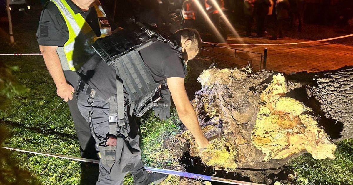 У парку Шевченка впало дерево