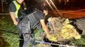 У парку Шевченка впало дерево
